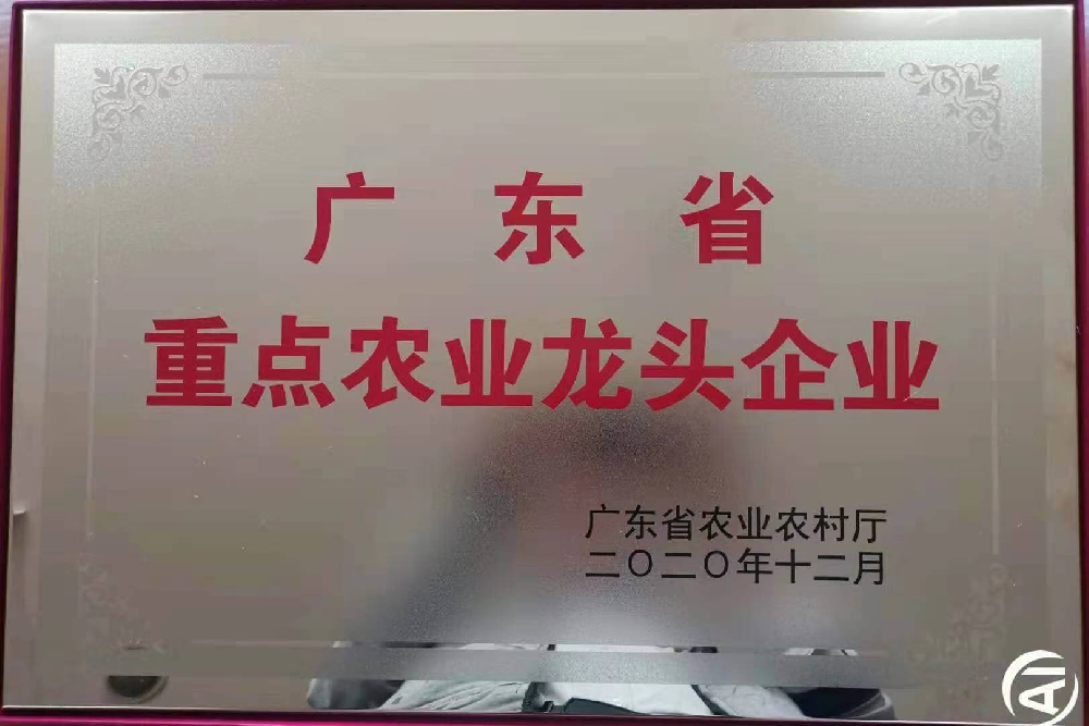 更上一层楼！追求无止境